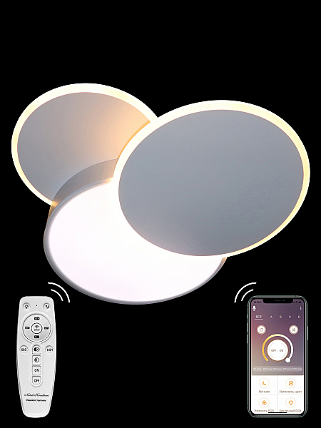 Потолочная люстра LED 81018/6C