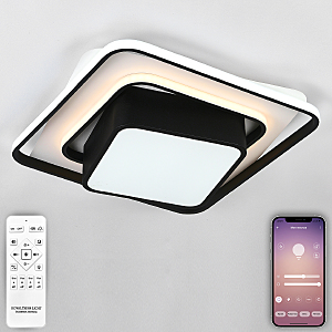 Потолочная люстра LED 81038/4C