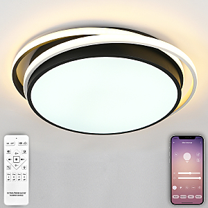 Потолочная люстра LED 81038/5C