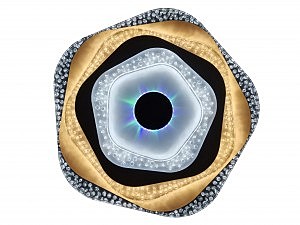 Потолочная люстра LED 81040/5C