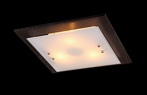 Настенно потолочный светильник Alps ALPS 11380/3C WENGE