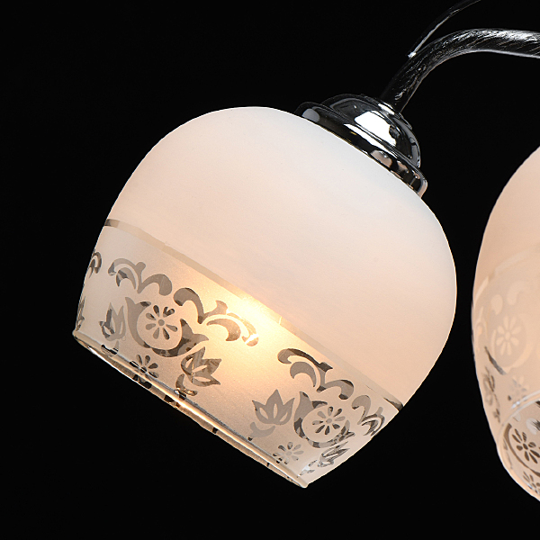 Потолочная люстра Грация 677013905