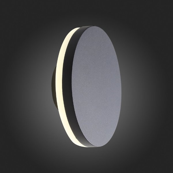 Уличный настенный светильник ST Luce SL087.401.01