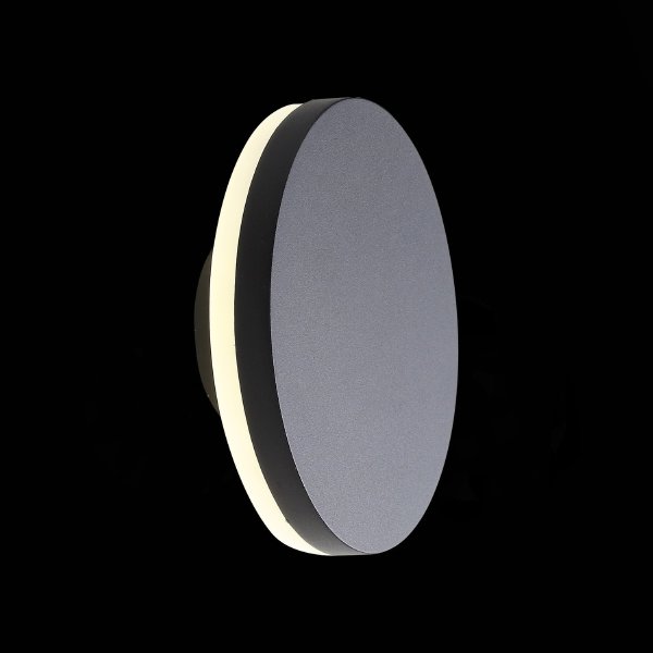 Уличный настенный светильник ST Luce SL087.401.01