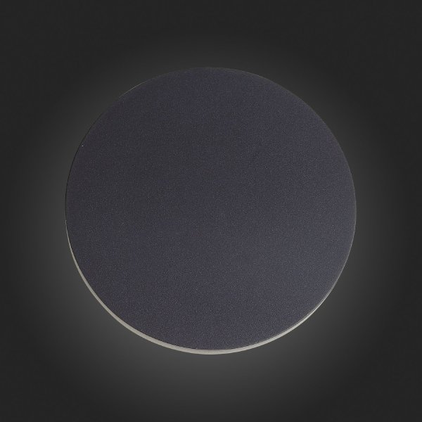 Уличный настенный светильник ST Luce SL087.401.01