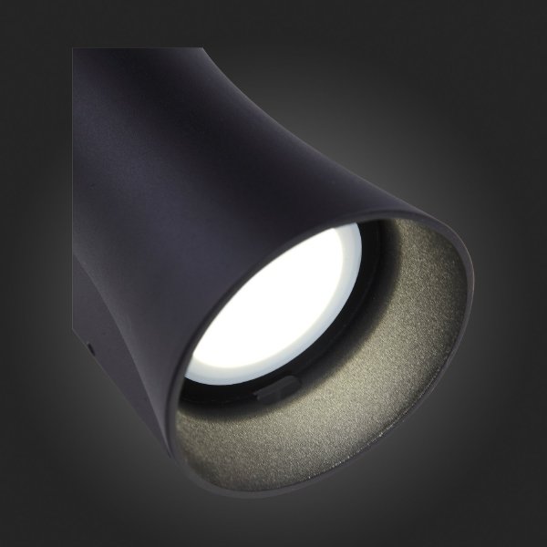 Уличный настенный светильник ST Luce SL088.401.02