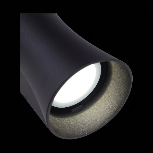 Уличный настенный светильник ST Luce SL088.401.02