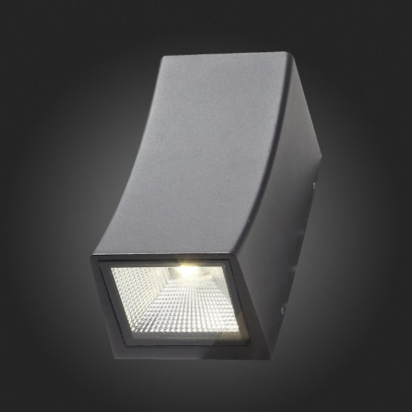 Уличный настенный светильник ST Luce SL088.421.02
