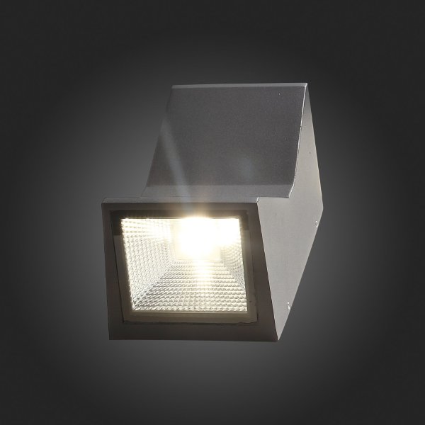 Уличный настенный светильник ST Luce SL088.431.02