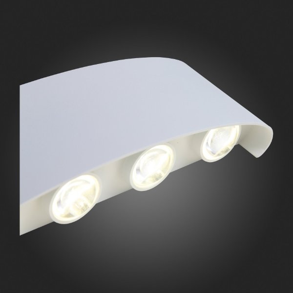 Уличный настенный светильник ST Luce SL089.501.08