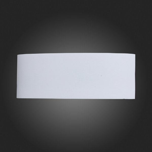 Уличный настенный светильник ST Luce SL089.501.08