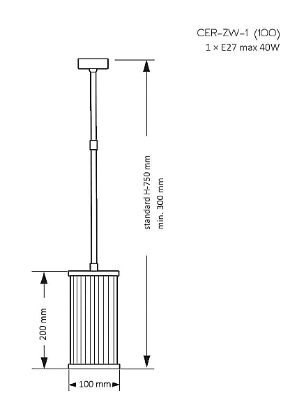 Светильник потолочный Cero CER-ZW-1(Z) 100