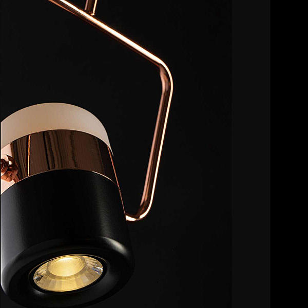 Светильник подвесной Ling 8118-B