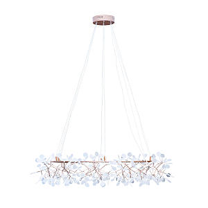 Подвесная люстра Heracleum 9022-243