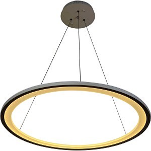 Подвесная люстра Hoop 2087/91/01C