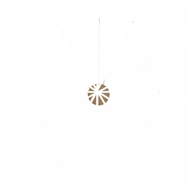 Подвесная люстра Basoni SL394.223.06