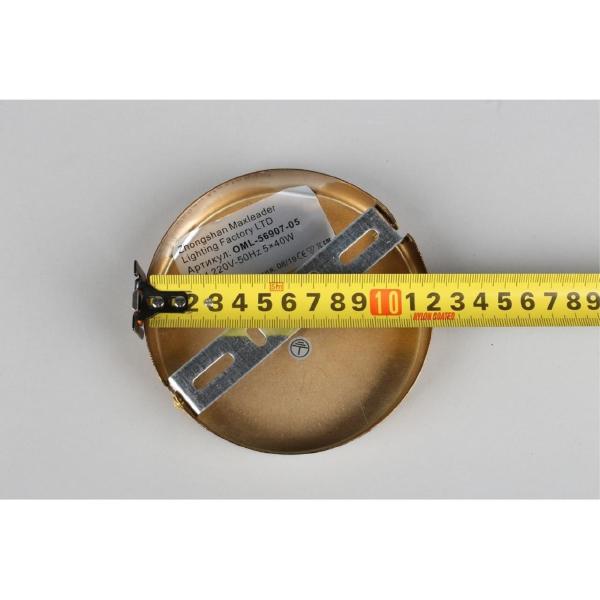 Потолочная люстра Barumini OML-56907-05