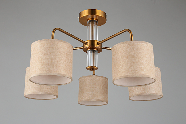 Потолочная люстра Barumini OML-56907-05