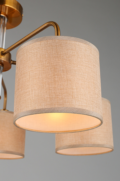 Потолочная люстра Barumini OML-56907-05