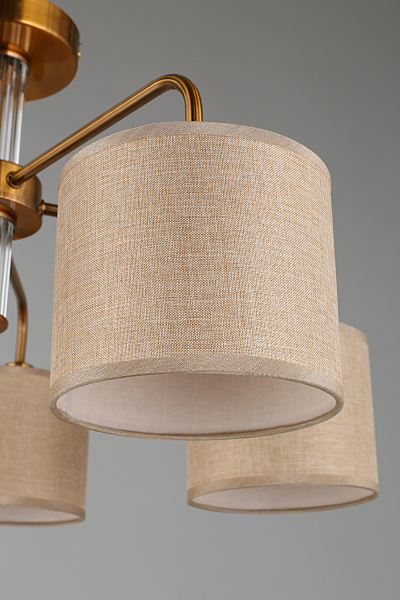 Потолочная люстра Barumini OML-56907-05