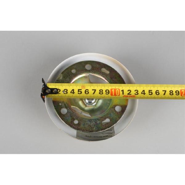 Подвесная люстра Carisio OML-72803-09