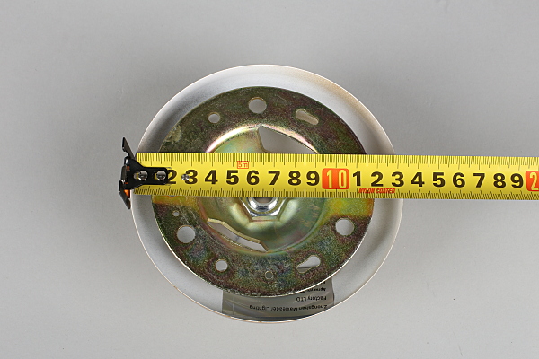 Подвесная люстра Carisio OML-72803-09