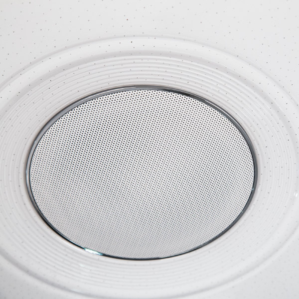 Светильник потолочный Light & Music CL703M100