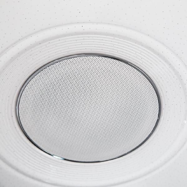 Светильник потолочный Light & Music CL703M100