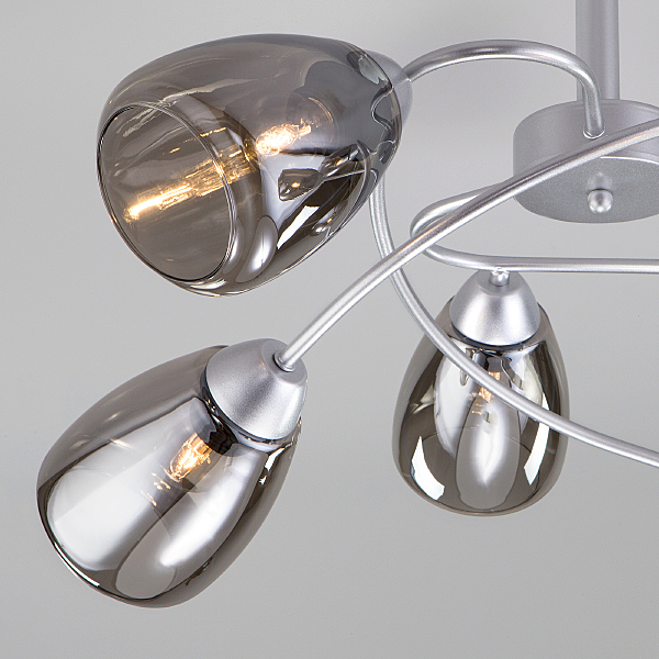 Потолочная люстра Noemi 30168/6 матовое серебро