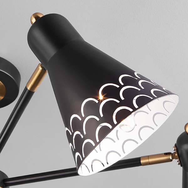 Потолочная люстра Trina 70100/6 черный