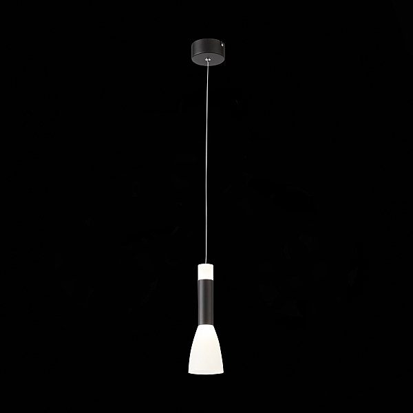 Светильник подвесной Agioni SL1590.403.01
