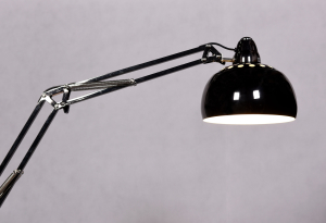 Торшер Rigorria LDF 8815 BK