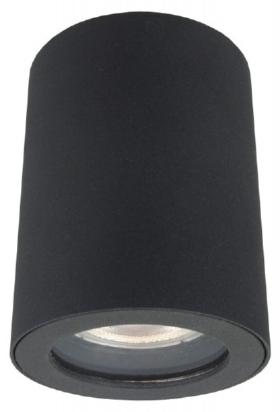 Уличный потолочный светильник Dk3007 DK3007-BK