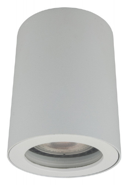 Уличный потолочный светильник Dk3007 DK3007-WH