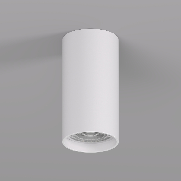 Накладной светильник Dk2008 DK2008-WH