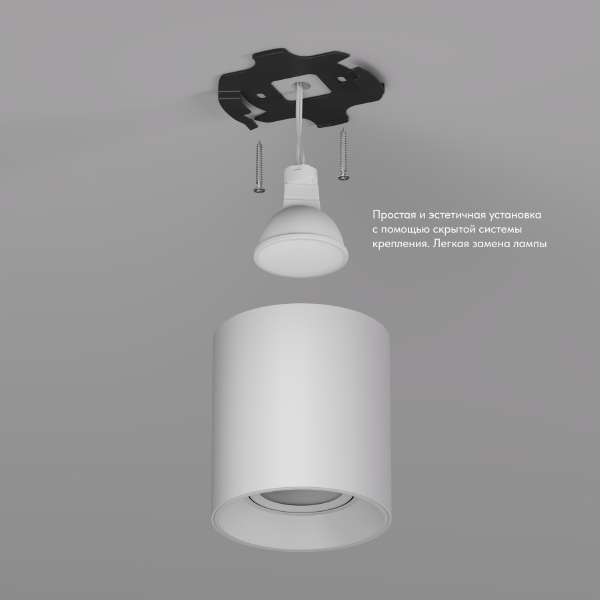 Накладной светильник Dk3020Ww DK3040-WH