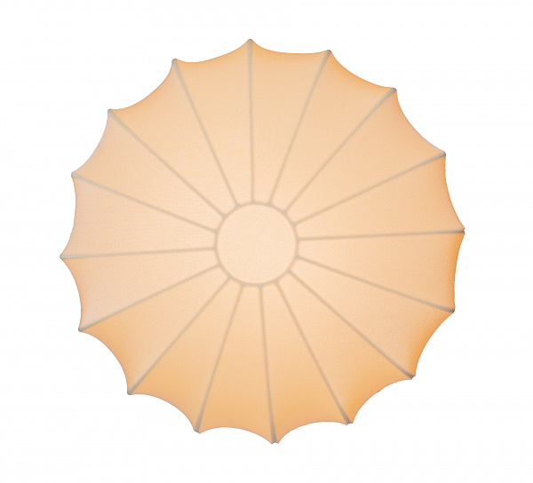 Настенно потолочный светильник Muse Muse AP4 10 09s