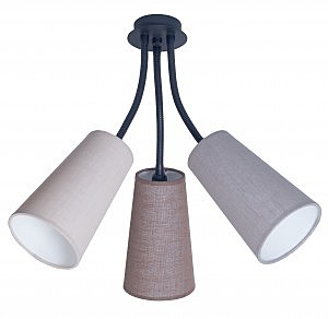 Потолочная люстра Trio TrioP2 12 96g/97g/98g