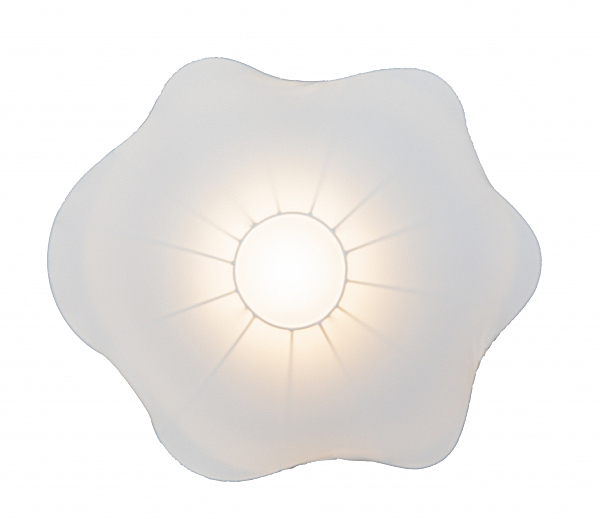 Светильник потолочный Daisy Daisy AP1 10 01s