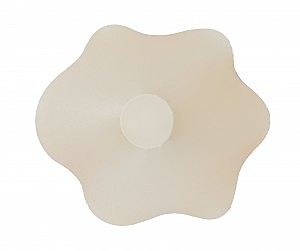 Светильник потолочный Daisy Daisy AP1 10 09s