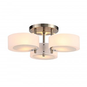 Потолочная люстра Foresta SL483.352.03