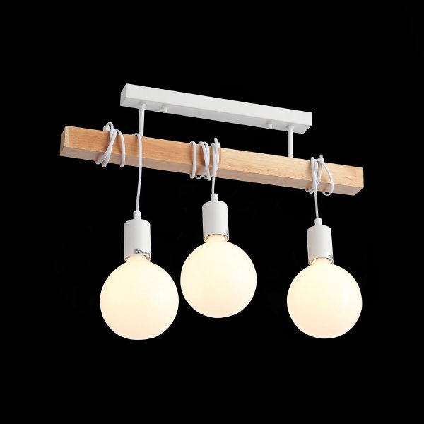 Светильник подвесной Bagetti SL1142.503.03