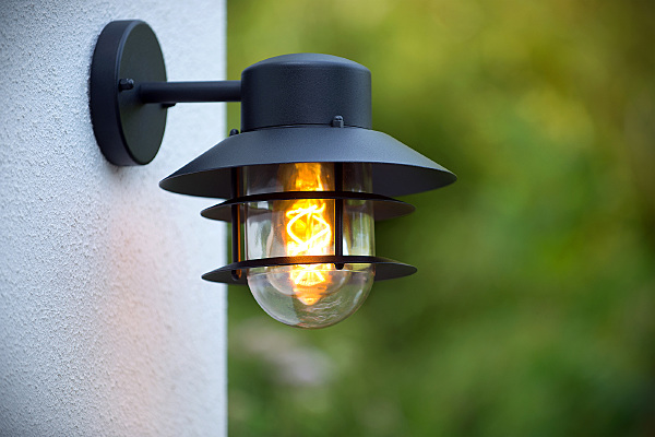 Уличный настенный светильник Zico 11874/01/30