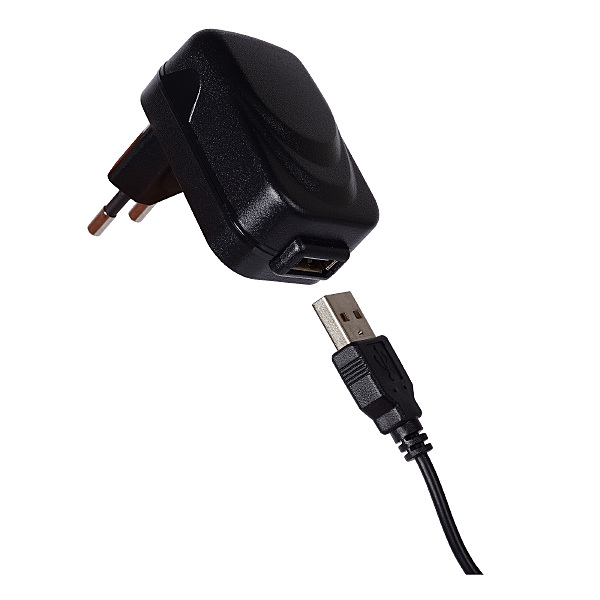 Фигура для сада Cactus 13813/02/31