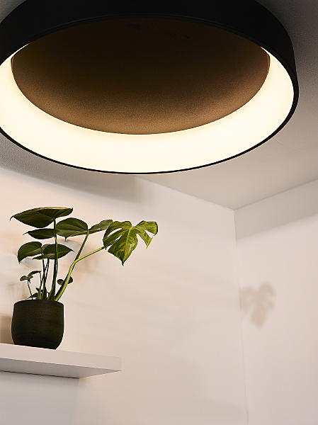 Светильник потолочный Talowe Led 46100/80/30