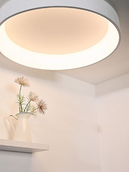 Светильник потолочный Talowe Led 46100/80/31