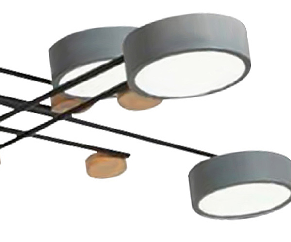 Потолочная люстра Рапис 07647-6,16(4000K)