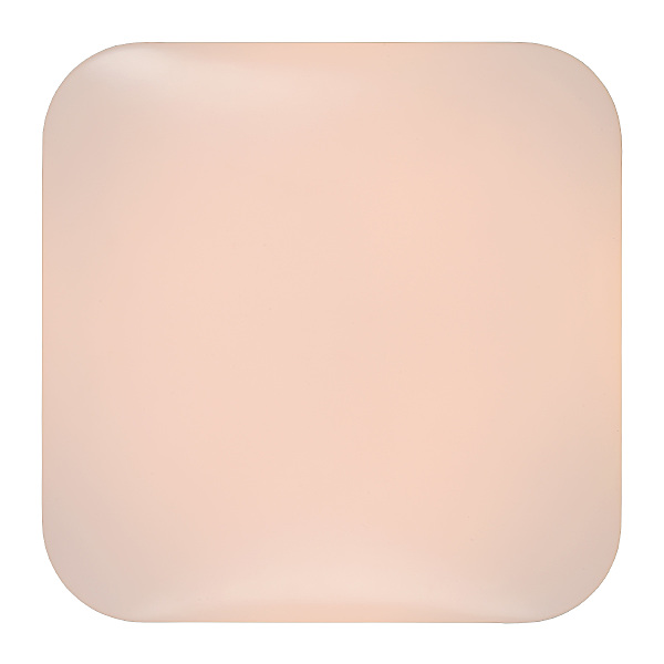 Светильник потолочный Otis 79198/22/61