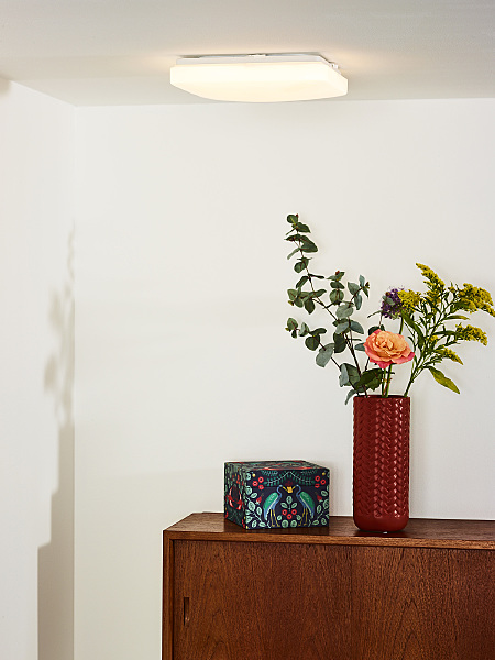 Светильник потолочный Otis 79198/22/61