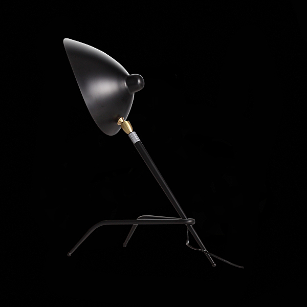 Настольная лампа Spruzzo SL305.404.01